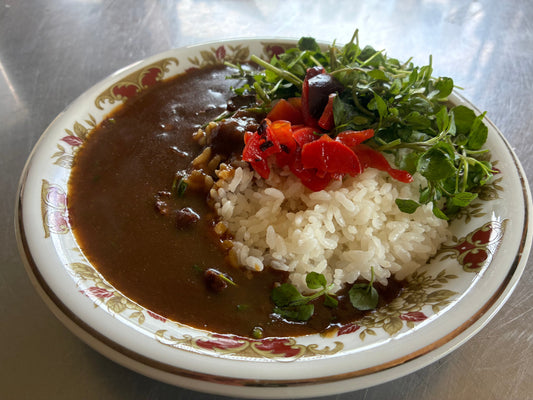 屋久然ライフのクレソンたっぷりカレー