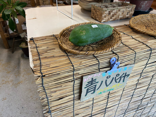 屋久島の青パパイヤ限定販売