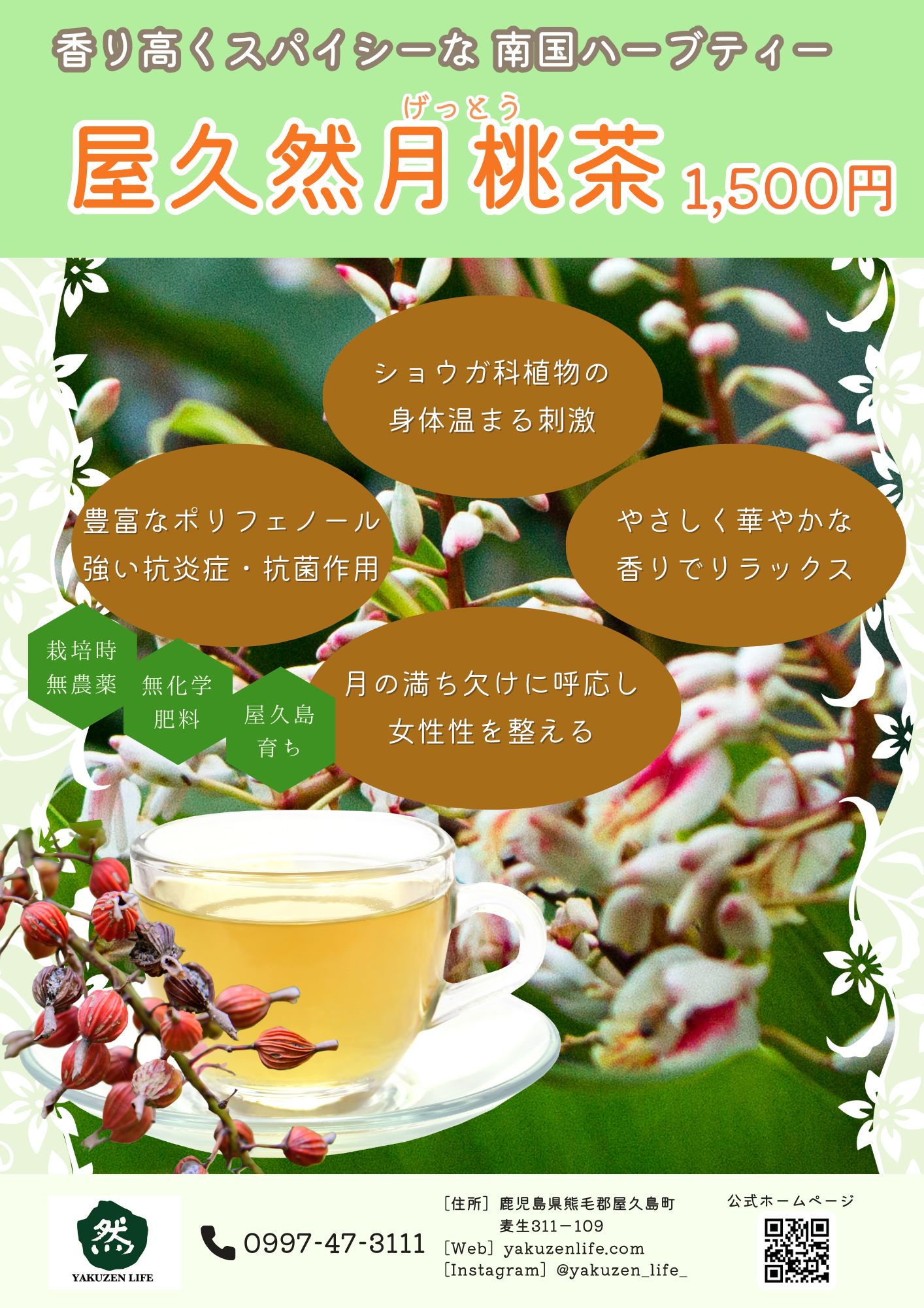 Yakuzen Shell Ginger Tea 25g