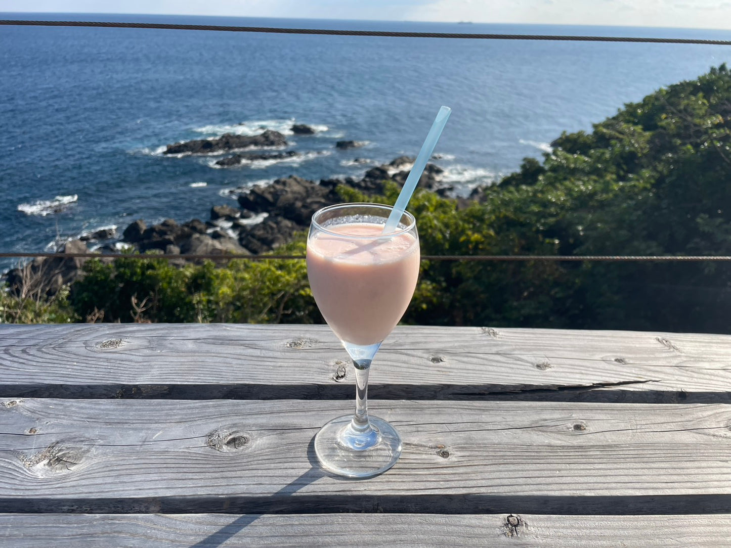 屋久島産グァバピューレ 15㎏(1.5㎏×10袋) 業務用 無添加・無農薬