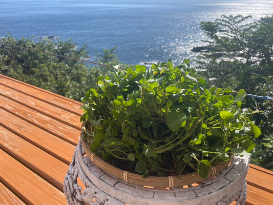 クレソンの話　Part1