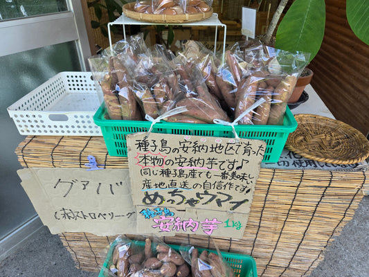 種子島の安納芋！期間限定で販売中！！