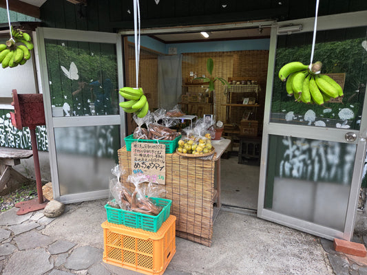 安納芋、グァバ、平飼い鶏の卵、オクラ、ピーマン、島バナナ出品しています！！