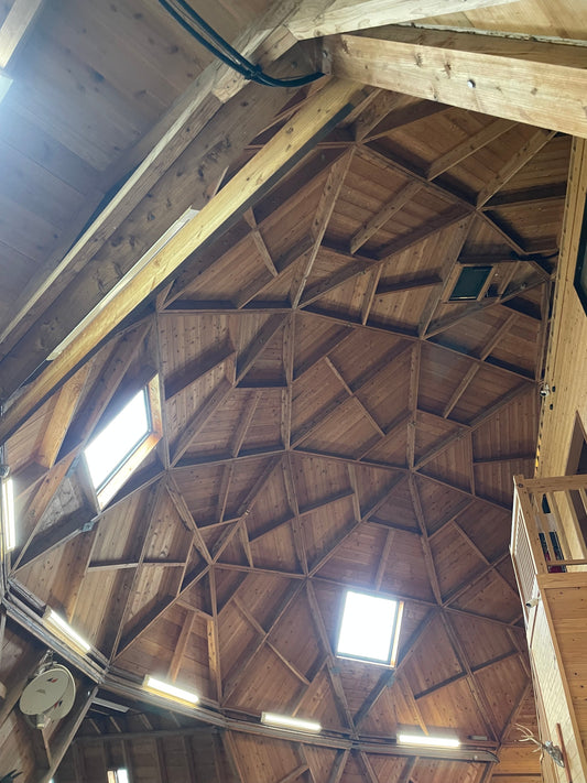 ドームの中は？