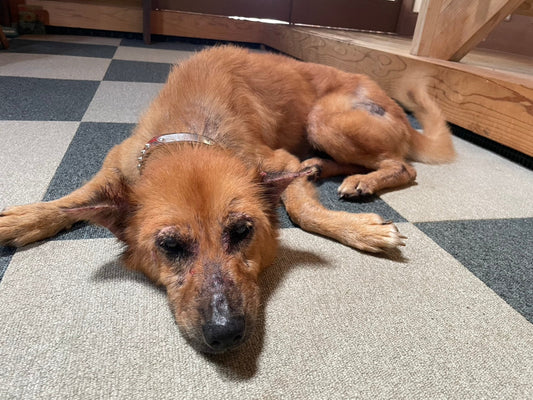 オフロはお好きですか？？