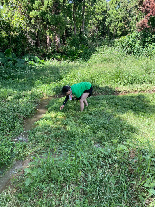 スタッフを募集しています。　農業編