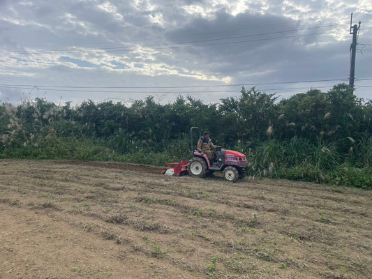 🌿【超基本】ゲットー（月桃）って何？屋久島の香るハーブをやさしく解説