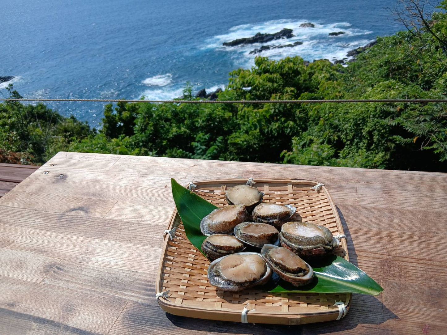【限定５セット】屋久島産 天然磯貝 300g｜採れたて急速冷凍・刺身でも楽しめる天然の味