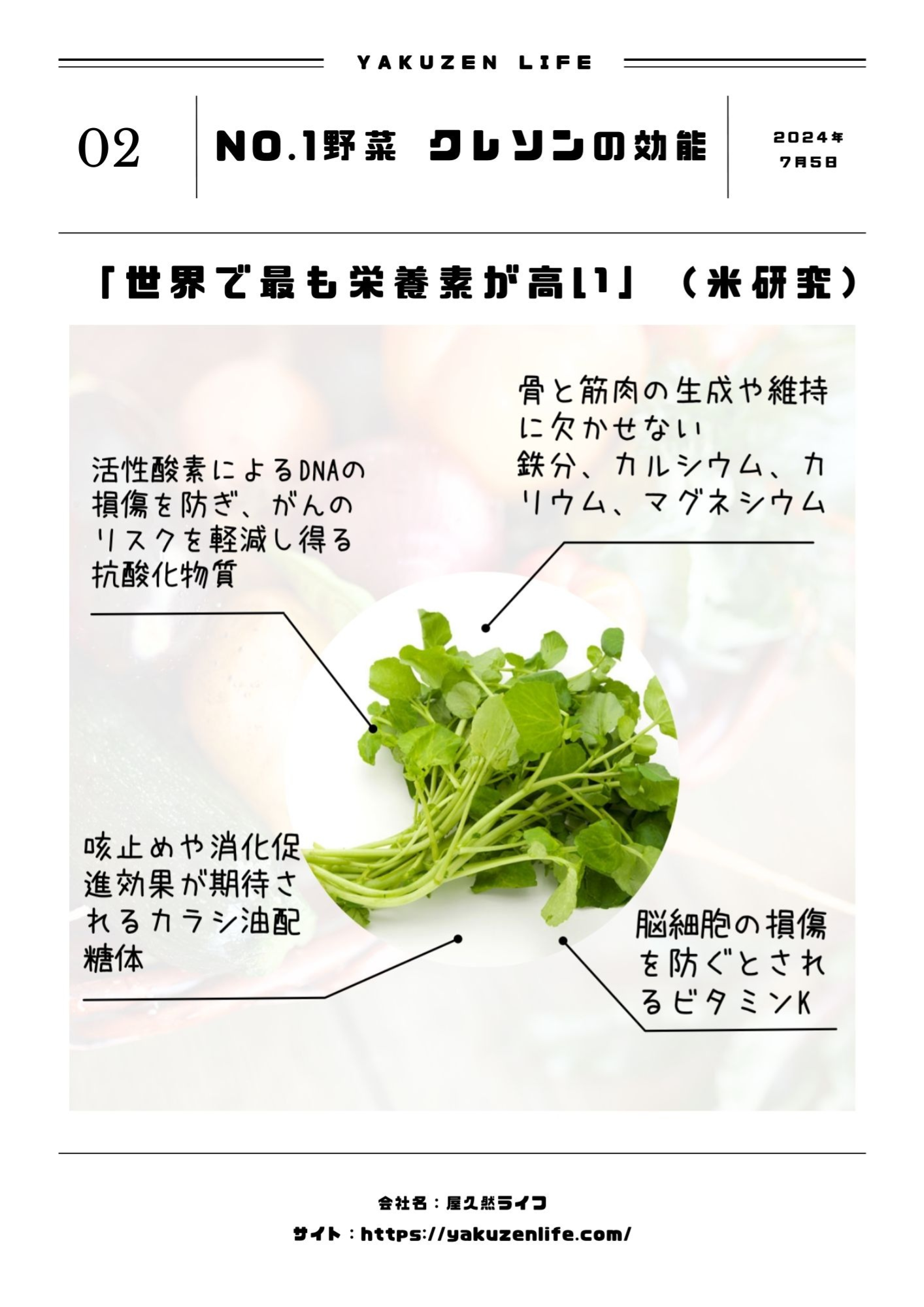 屋久然生クレソン【1kg(※写真は500gです)】 – 屋久然ライフ 屋久然生クレソン【1kg(※写真は500gです)】 – 屋久然ライフ