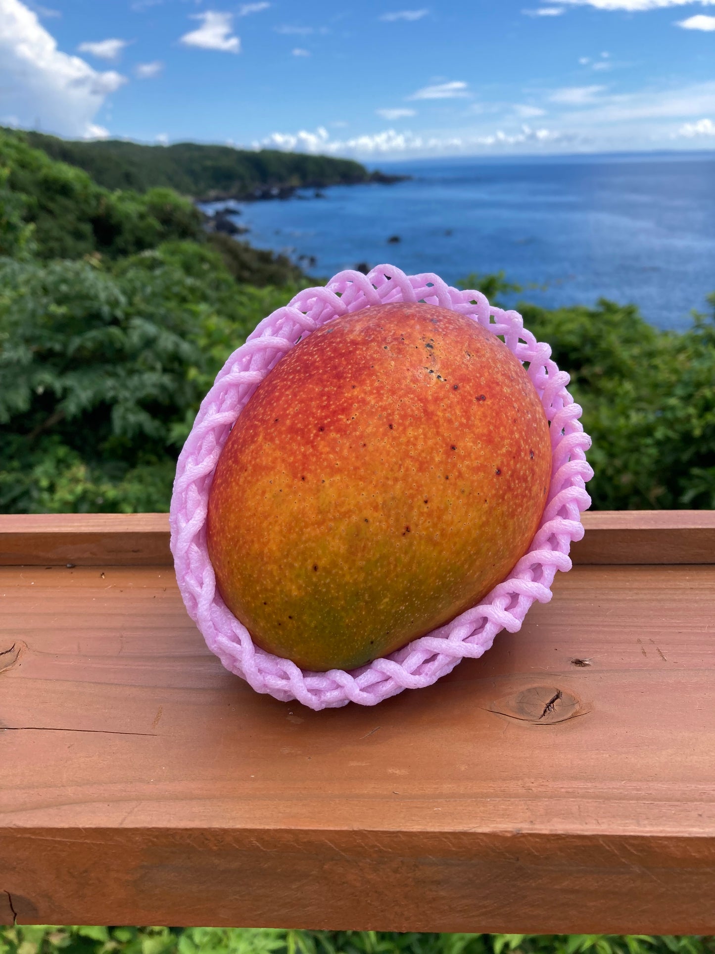【A品】屋久島産 完熟アップルマンゴー 約1kg（2〜3玉）予約販売｜農薬不使用