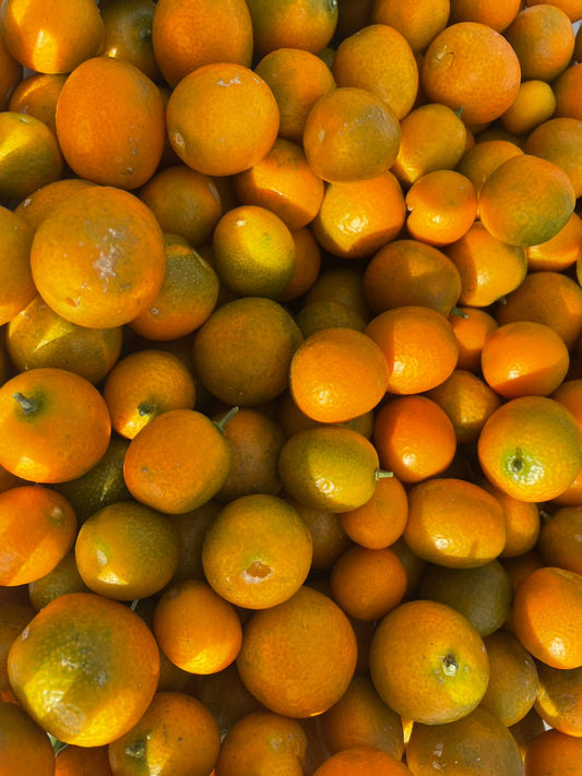 屋久島のキンカン