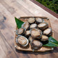 【限定3セット】屋久島産 天然磯貝 500g｜採れたて急速冷凍・刺身でも楽しめる天然の味
